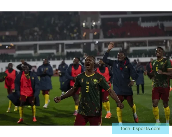 科特迪瓦上演奇迹逆转战胜加纳成功夺得非洲杯冠军