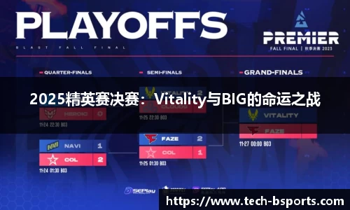 2025精英赛决赛：Vitality与BIG的命运之战